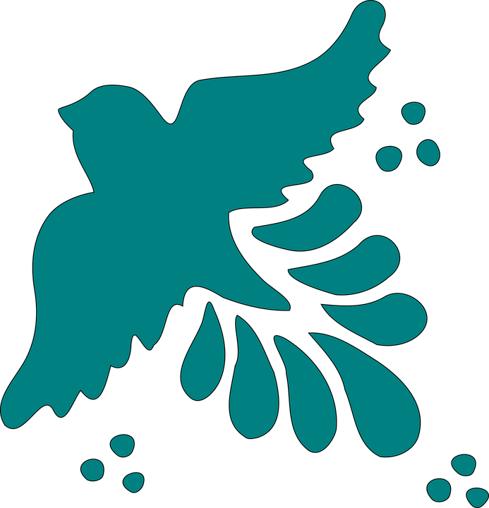 PlayNetwork